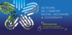 Rapport d'Activité